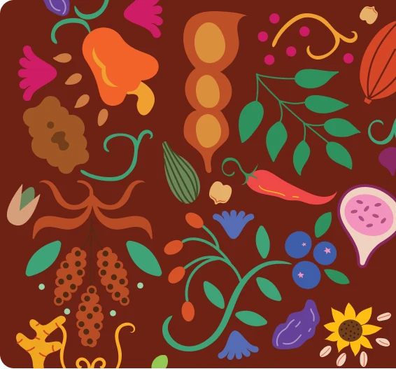 Part of the border illustration: a cashew apple, a pistachio, millet, ginger root, berries, a chilli, a fig and a sunflower, drawn simply in warm tones on deep maroon.