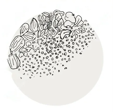 The hand-drawn shot plan for Nutty Ragi Laddoos: the ingredients sketched in black ink, each with a red handwritten label